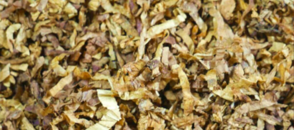 Куча листьев табака Берли
